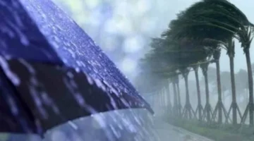 تحذير الأرصاد الجوية.. حالة الطقس المتوقعة في مصر خلال ساعات الإثنين 19 يناير 2026